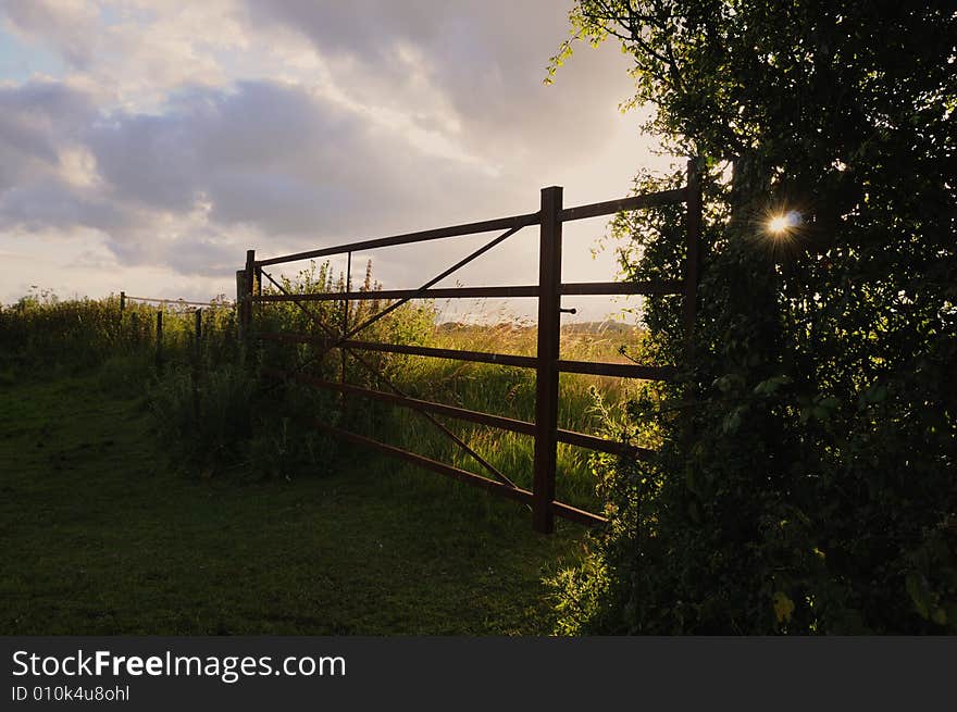 Sunset at the farm with the sun just getting through the hedge