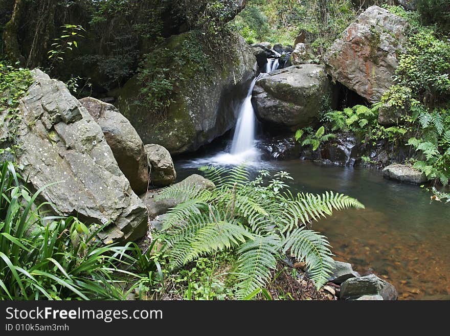 Mountain stream and waterfall with ferns