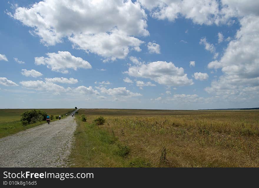 Rural Landscape