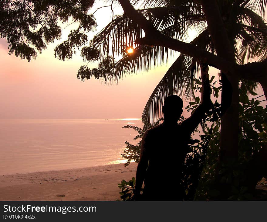 A man leaned on a tree. behind him the amazing view.