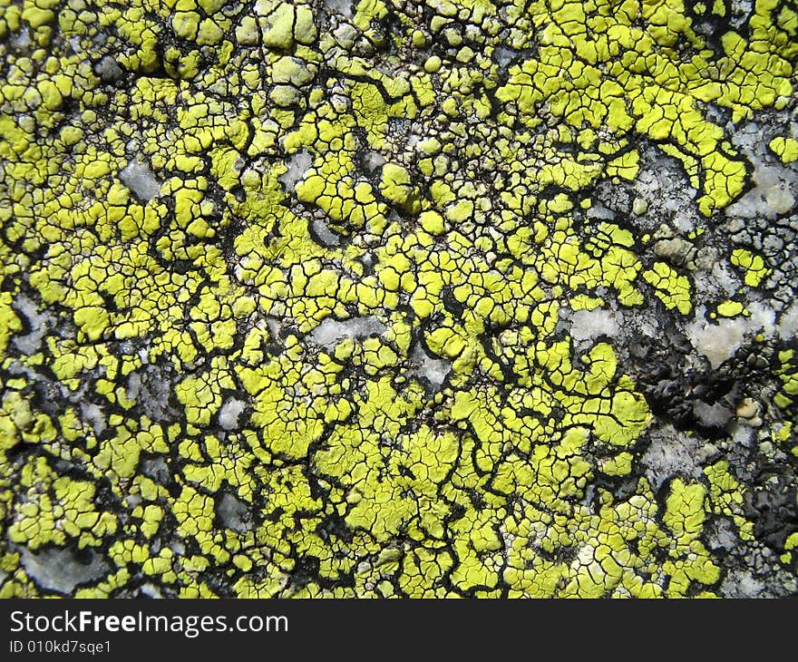 Mad geometry on the surface of a granite rock. Mad geometry on the surface of a granite rock