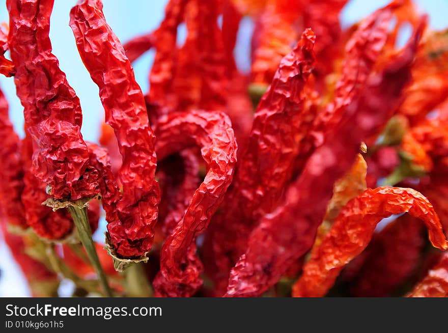 Dried Red Peppers