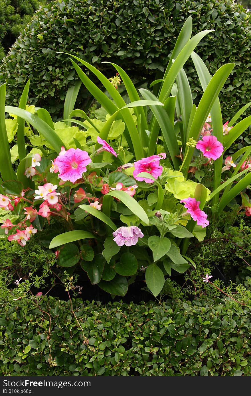 Pink flowers in a green flower basket