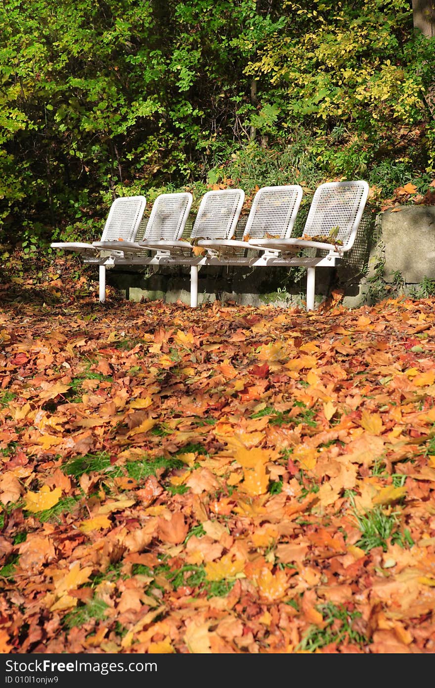 Park benches