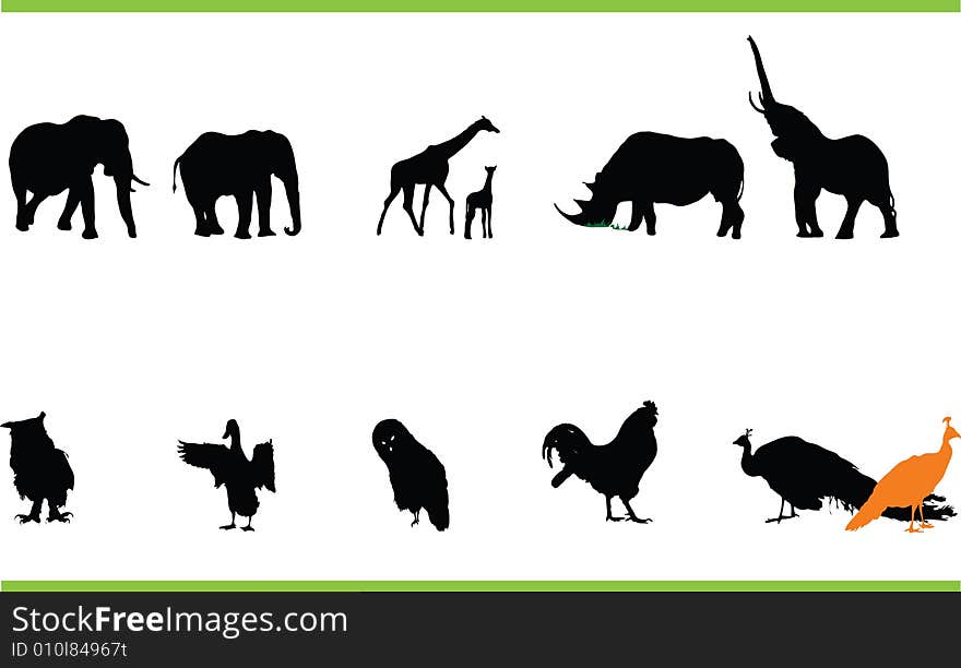 Vector silhouettes of different animals. Vector silhouettes of different animals