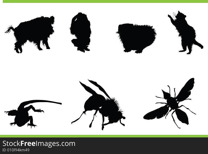 Vector silhouettes of different animals. Vector silhouettes of different animals