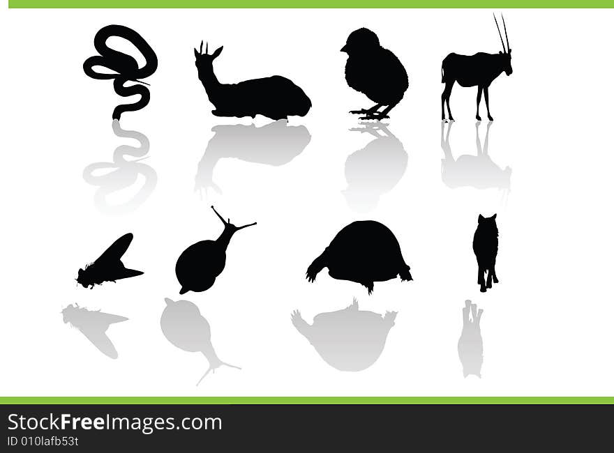 Vector silhouettes of different animals. Vector silhouettes of different animals