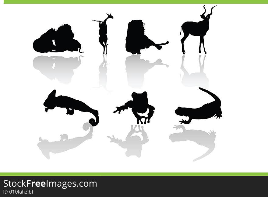 Vector silhouettes of different animals. Vector silhouettes of different animals