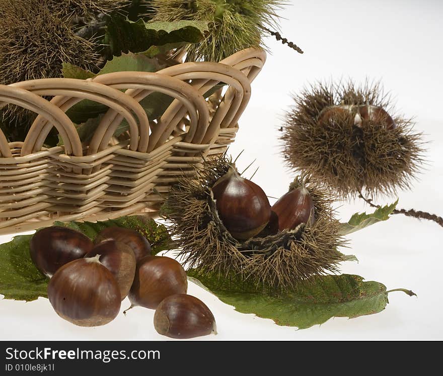 Small basket with chestnuts still in their husk with leaves. Small basket with chestnuts still in their husk with leaves