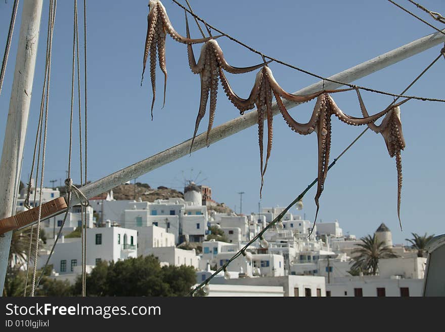 Octopus hanging to dry above the wather at a small island in mykonos greece. Octopus hanging to dry above the wather at a small island in mykonos greece