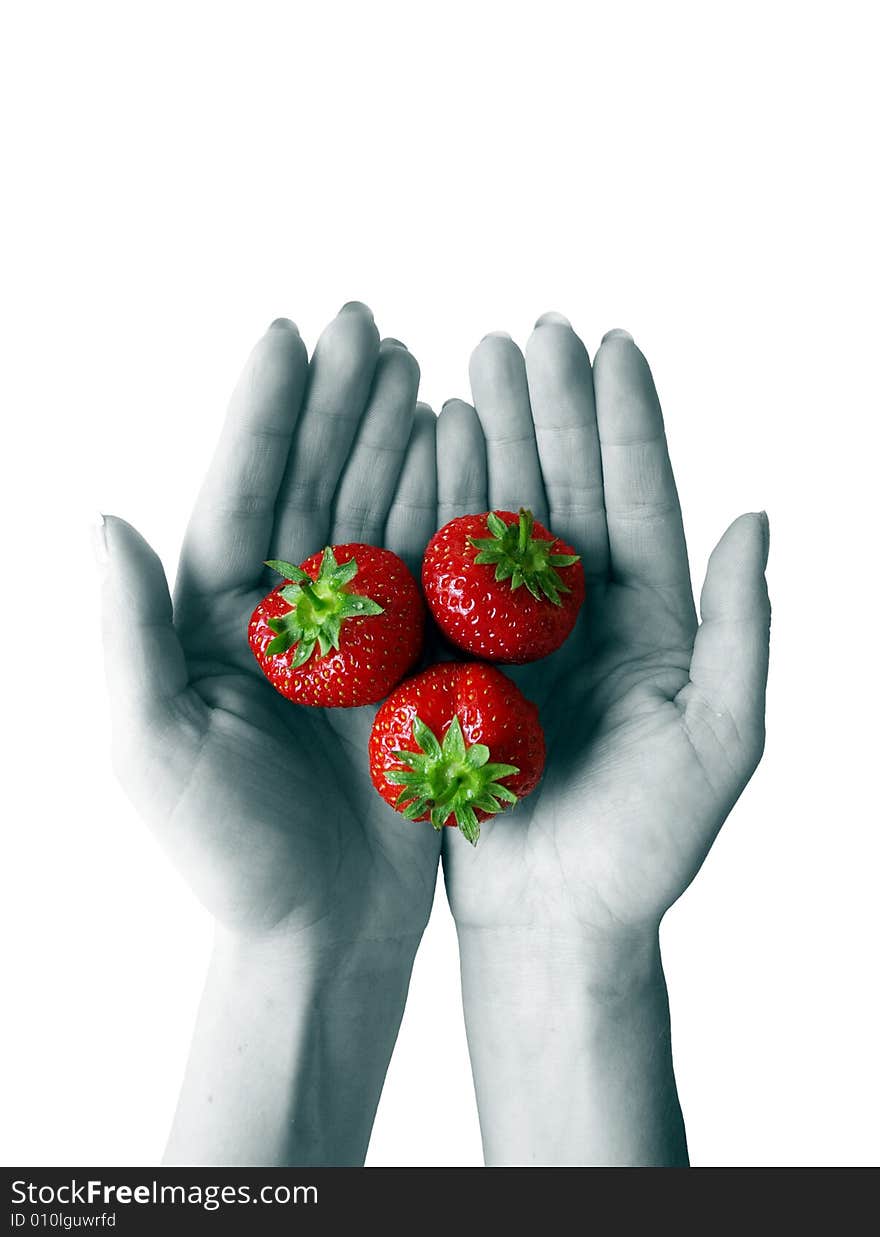 Strawberries at hands