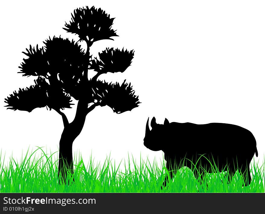 Rhinoceros on the grass illustration