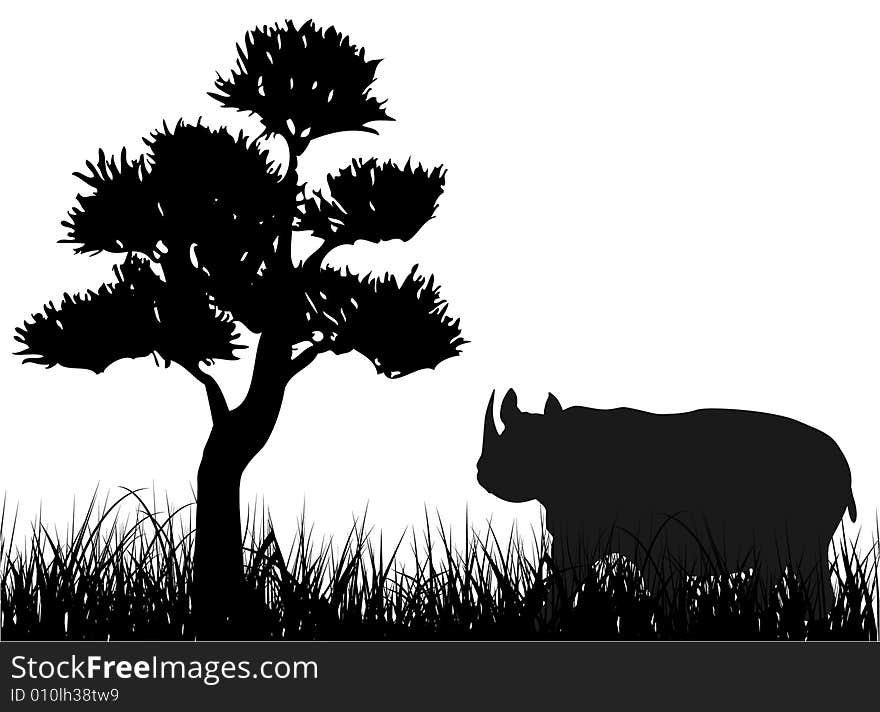 Rhinoceros on the grass illustration