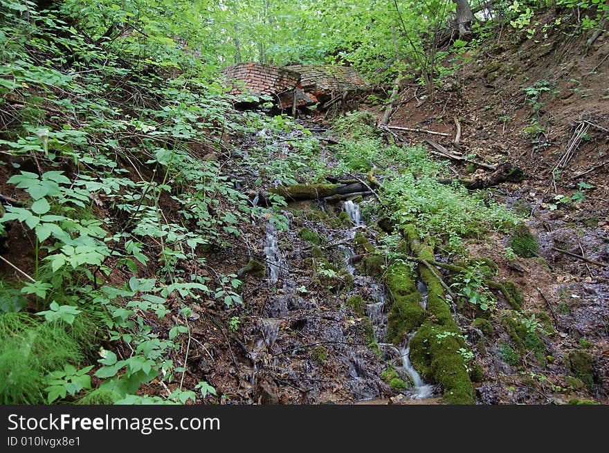 Wood stream