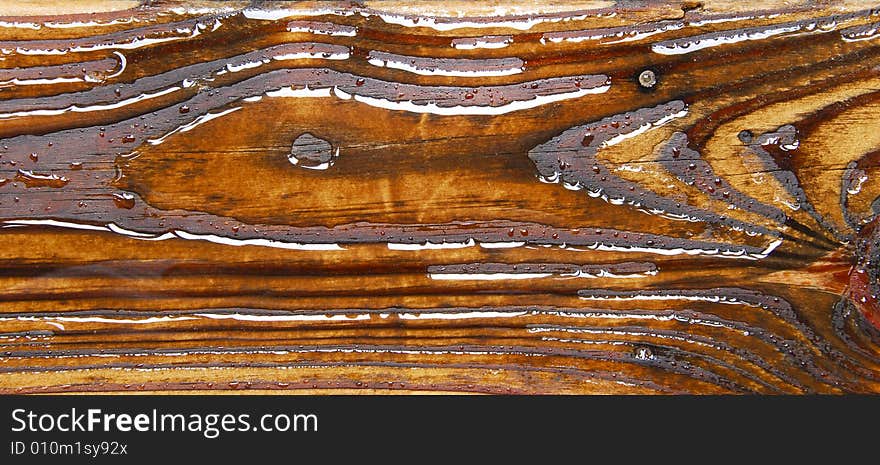 A wet wood plank with unique pattern similar to a fish. A wet wood plank with unique pattern similar to a fish.