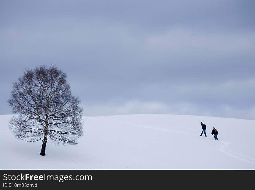 A snowy winter scene with tree. A snowy winter scene with tree