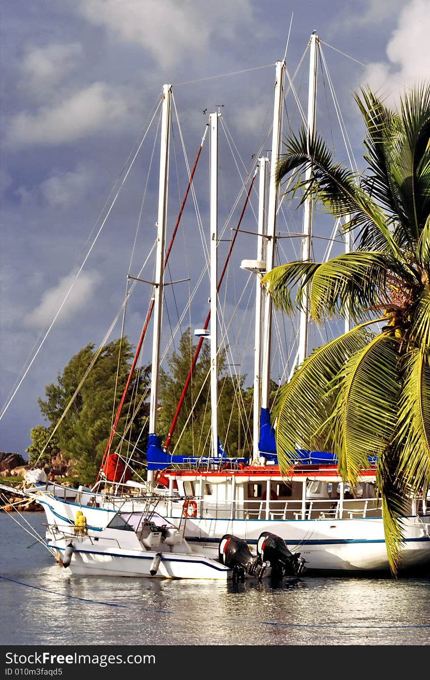 Morning. Yachts and boats are resting and waiting for tourists and guests  in the quiet tropical harbor. Palm -tree , sky  and sea (ocean) as the background. Morning. Yachts and boats are resting and waiting for tourists and guests  in the quiet tropical harbor. Palm -tree , sky  and sea (ocean) as the background