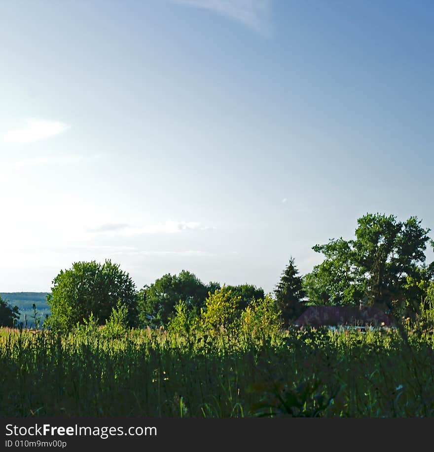 Rural landscape