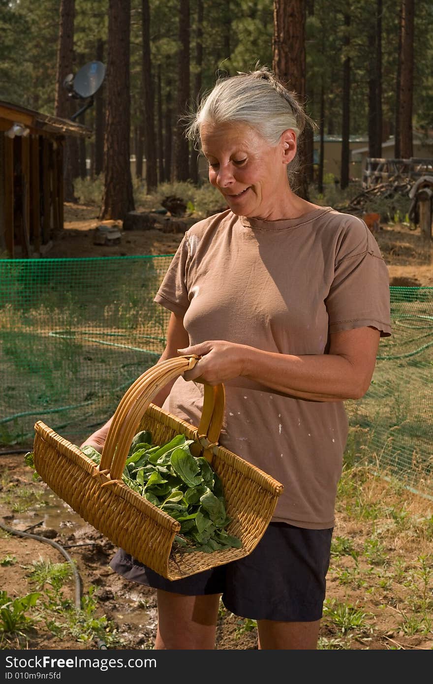 Portrait of attractive senior woman in garden. Portrait of attractive senior woman in garden