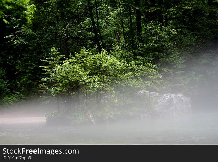 Wild nature where the riwer spring