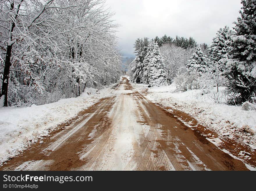 A long country dirt road in the winter season here in Southwest Michigan.  Forest thick and healthy on both sides with trees covered in snow and frost. A long country dirt road in the winter season here in Southwest Michigan.  Forest thick and healthy on both sides with trees covered in snow and frost.