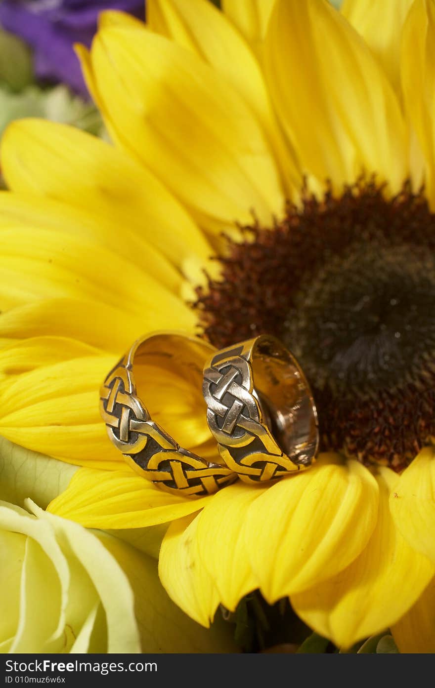 Closeup of wedding rings on yellow sunflower