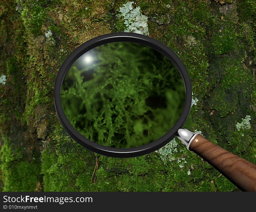 Scene of the nature under magnifying glass. Scene of the nature under magnifying glass