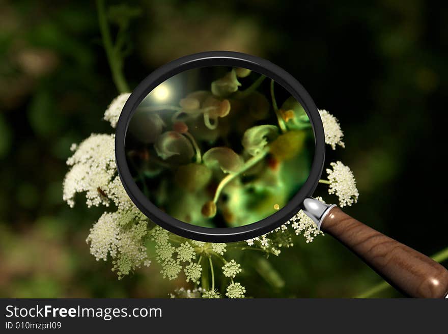 Scene of the nature under magnifying glass. Scene of the nature under magnifying glass