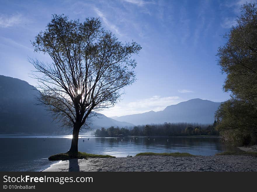 Lakescape with the sun behind a tree