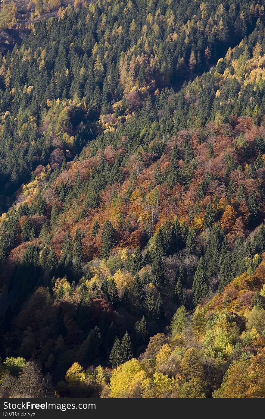 Fall mountains with colorful tree