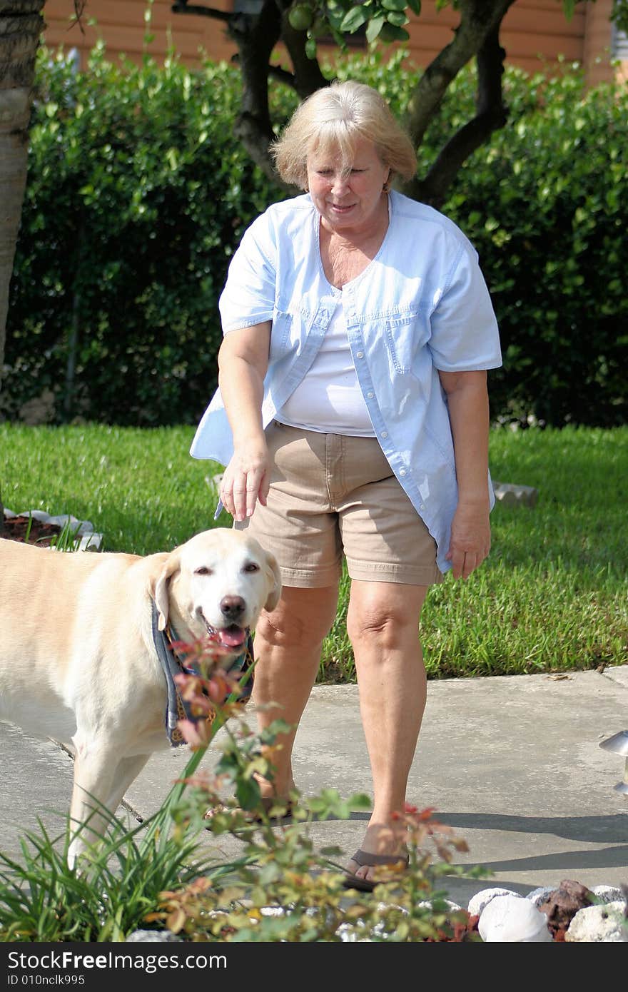 Photo of a senior training a dog to sit. Photo of a senior training a dog to sit