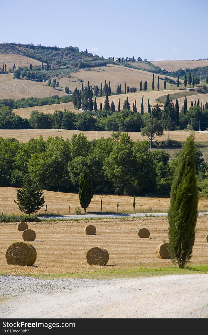 A italian hillside in summer