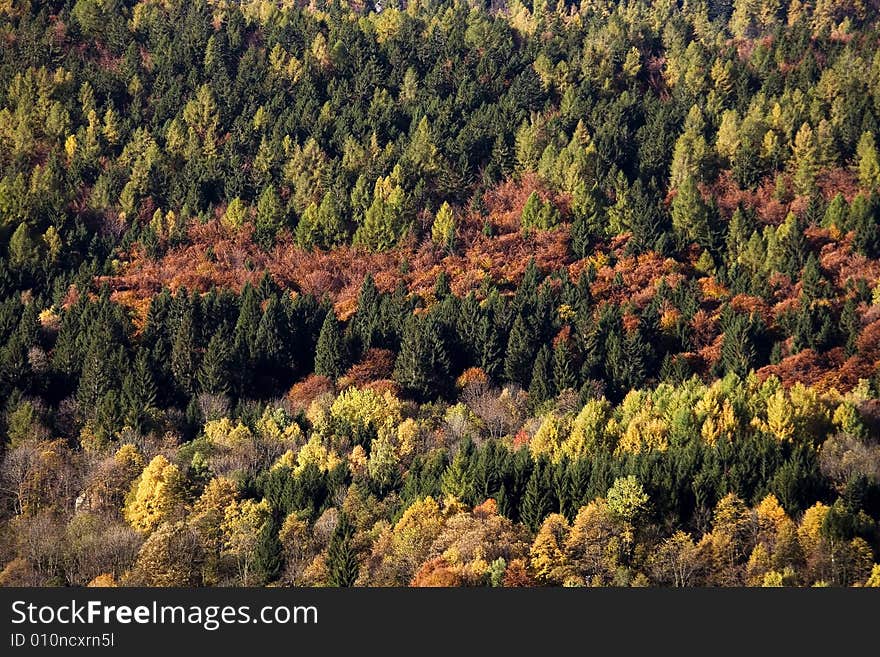 Fall mountains with colorful tree