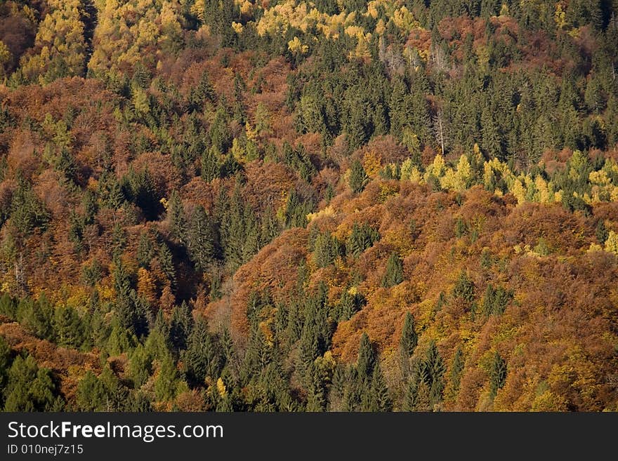 Fall mountains with colorful tree