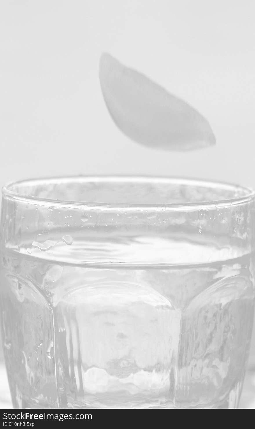 Photo of a glass of water for a faded background. Photo of a glass of water for a faded background