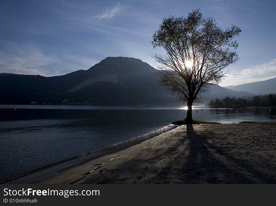 Lakescape with the sun behind a tree