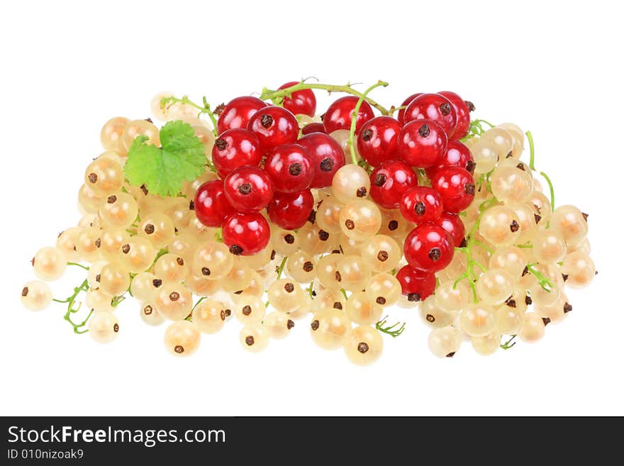 White and red currants.