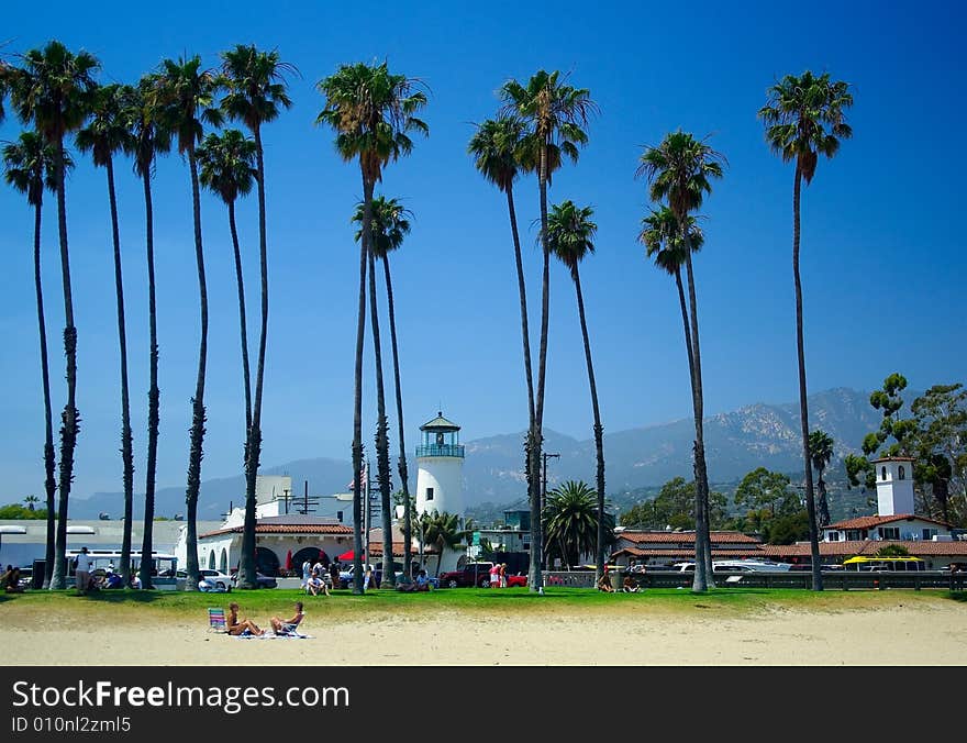 Palms in beach,Santa Babala,a beatiful town. Palms in beach,Santa Babala,a beatiful town