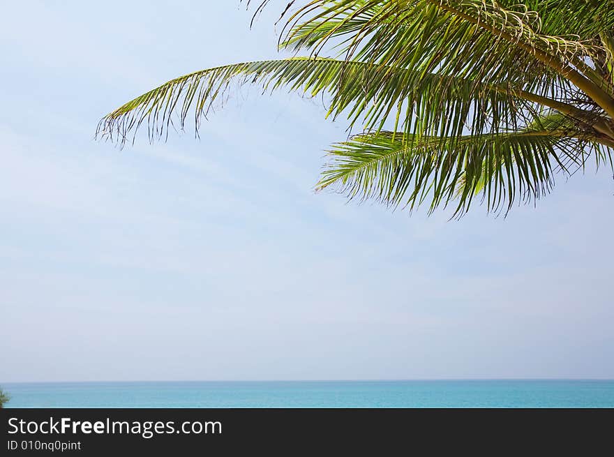 View of nice tropical empty sandy beach with some palm. View of nice tropical empty sandy beach with some palm