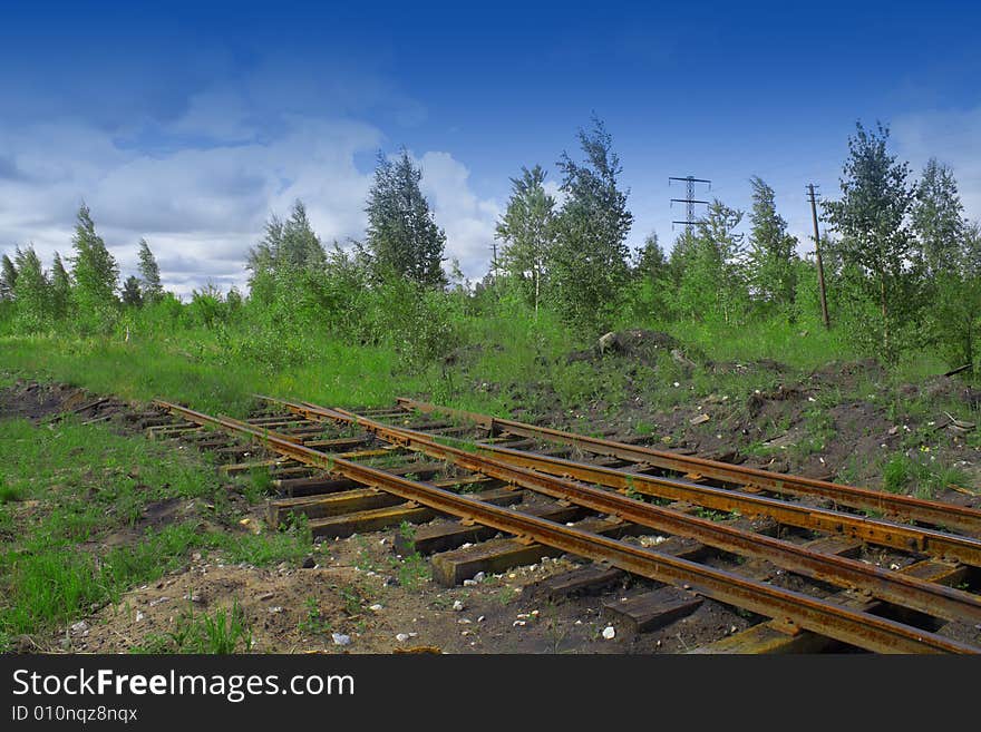 Rusty rails among a green wood.