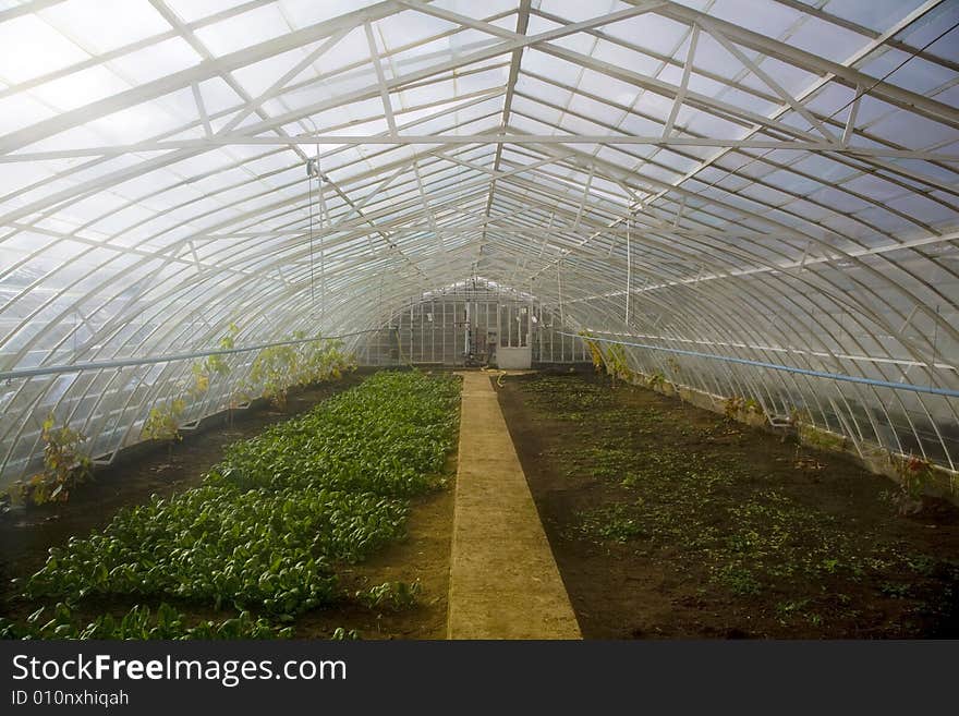 A big glasshouses with plants