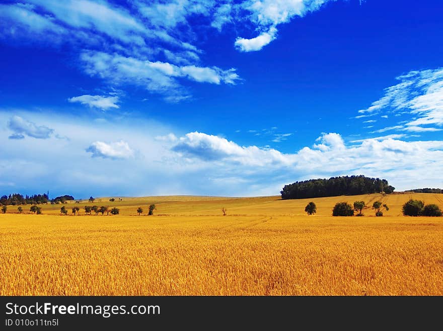 COUNTRY LANDSCAPE