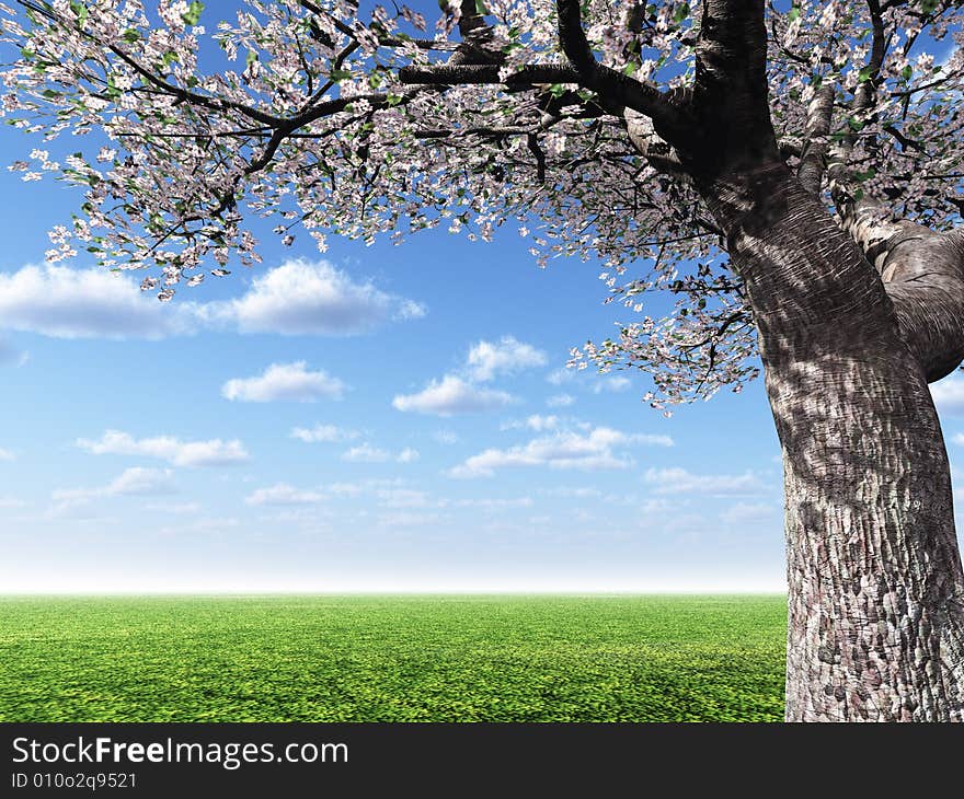 Beautiful landscape with blossoming tree