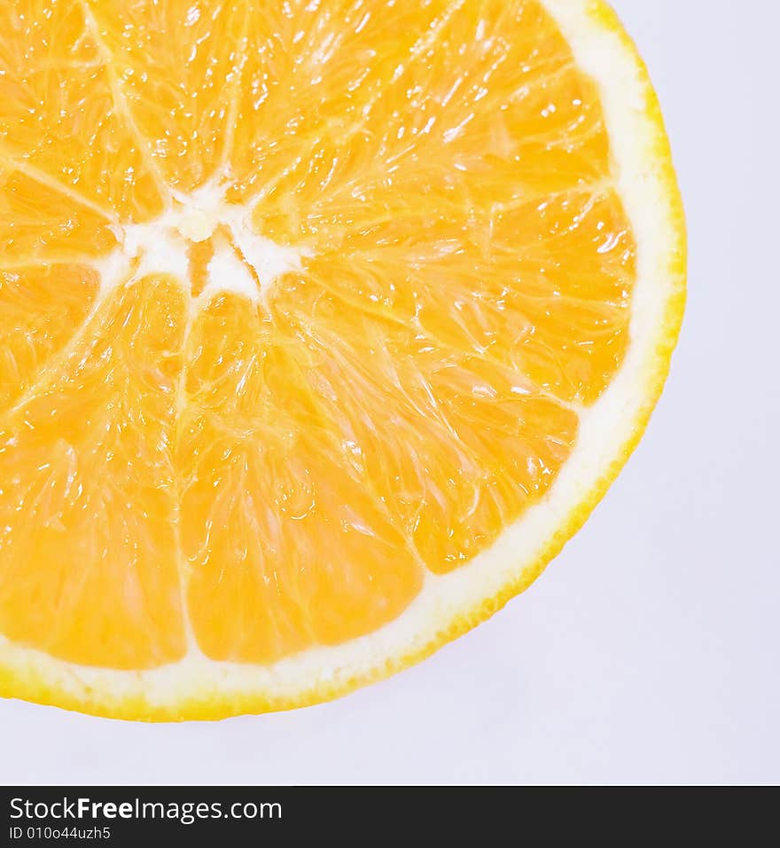 Isolated Orange Slice on White Background