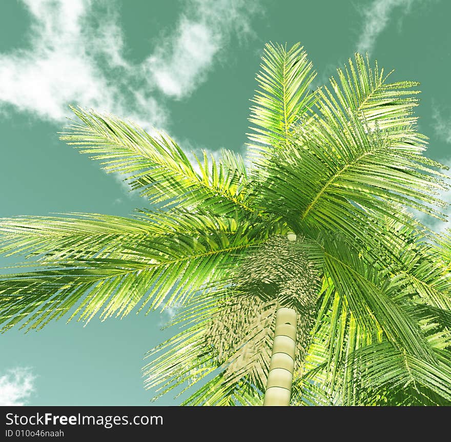 Beautiful cloudscape with palm. 3d image