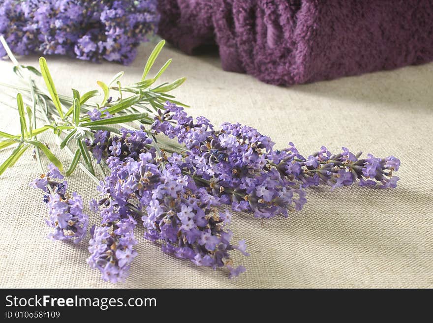 Bunch of lavender with bath towels, selected focus.