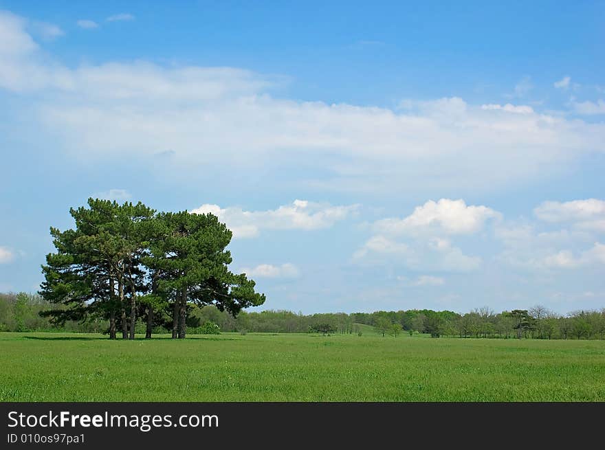 Summer landscape - green fields, the blue sky