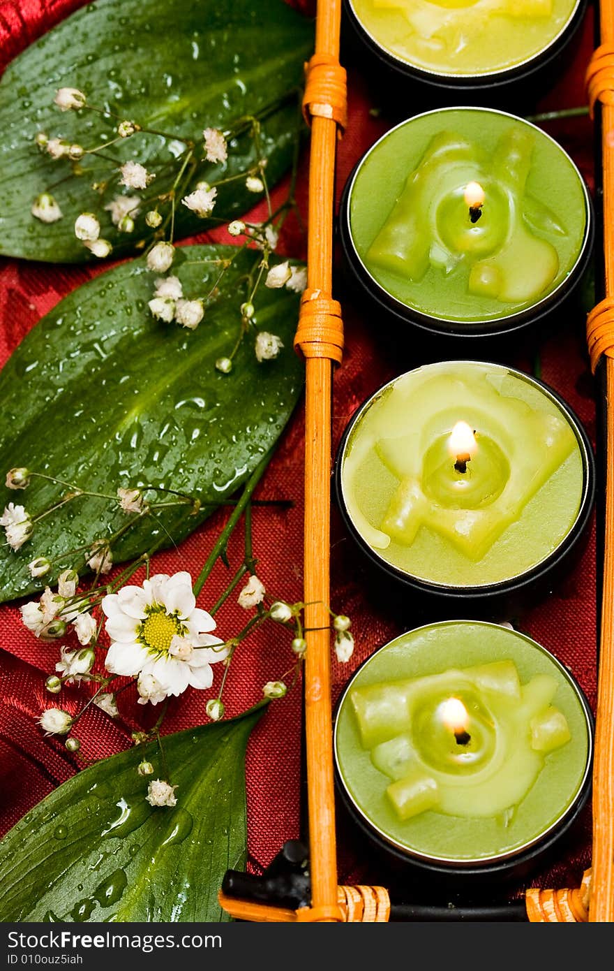 Row of green candles and white flowers