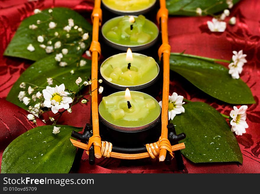 Row of green candles and white flowers