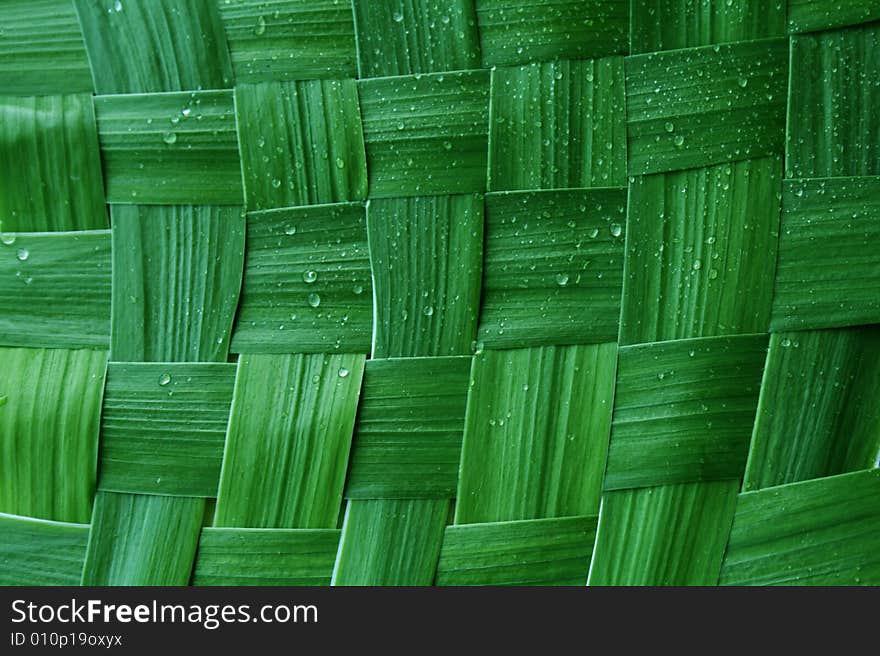 Green network leaf with rain droplets. Green network leaf with rain droplets